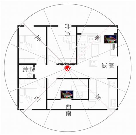 坐西南朝東北財位|坐東北朝西南財位攻略：招財秘訣完整教學 